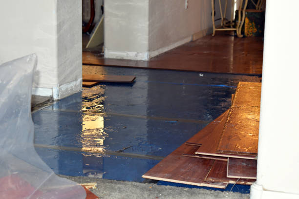 Professional Burst Pipe Cleanup technician working in Culver, OR